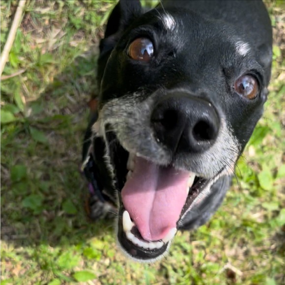 Meet your Posher, Autumn - Picture 16 of 16